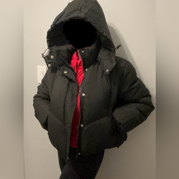 Women's Cropped Puffy puffer Jacket w/ Detachable Hooded in black. Large. NWT - Picture 4 of 7